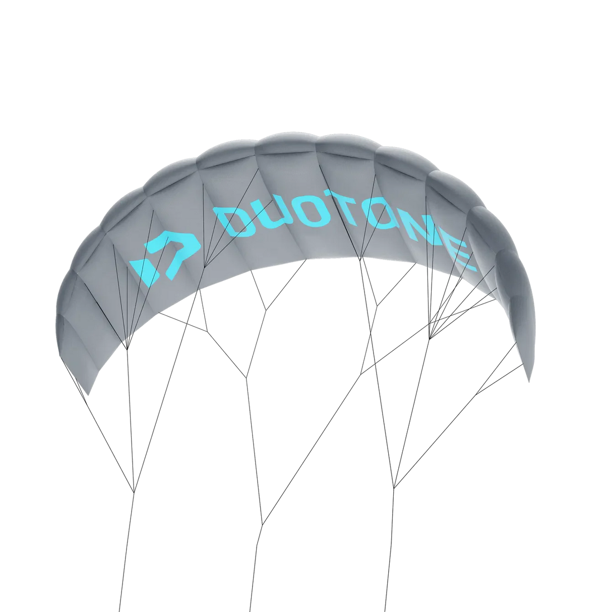 Kite Training Duotone Lizard Grey 2025 - 2.5