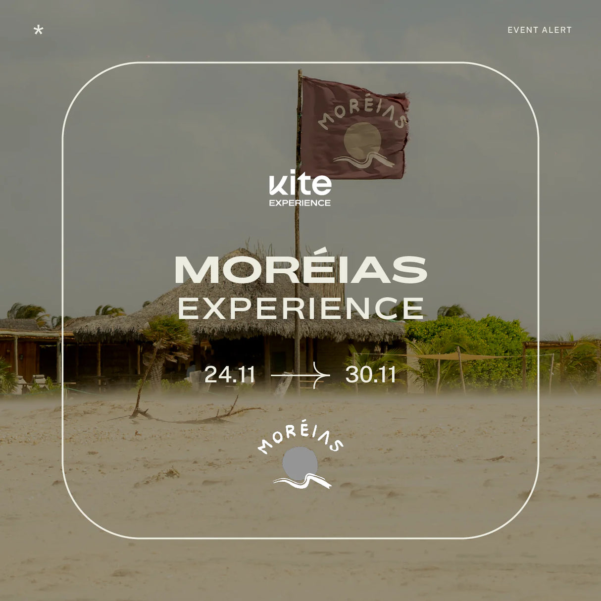 Morays Kite Experience