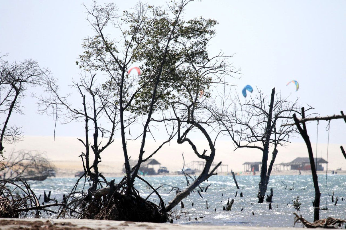 Downwind Cumbuco x Barra Grande