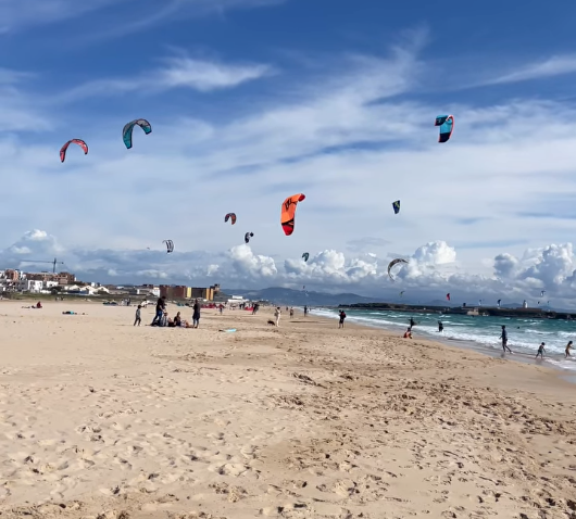 Kite Doctor