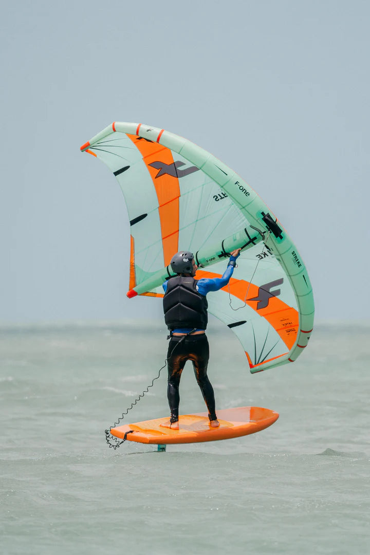 Jeri Wing Experience