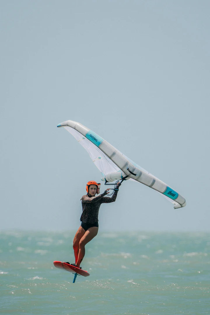 Jeri Wing Experience