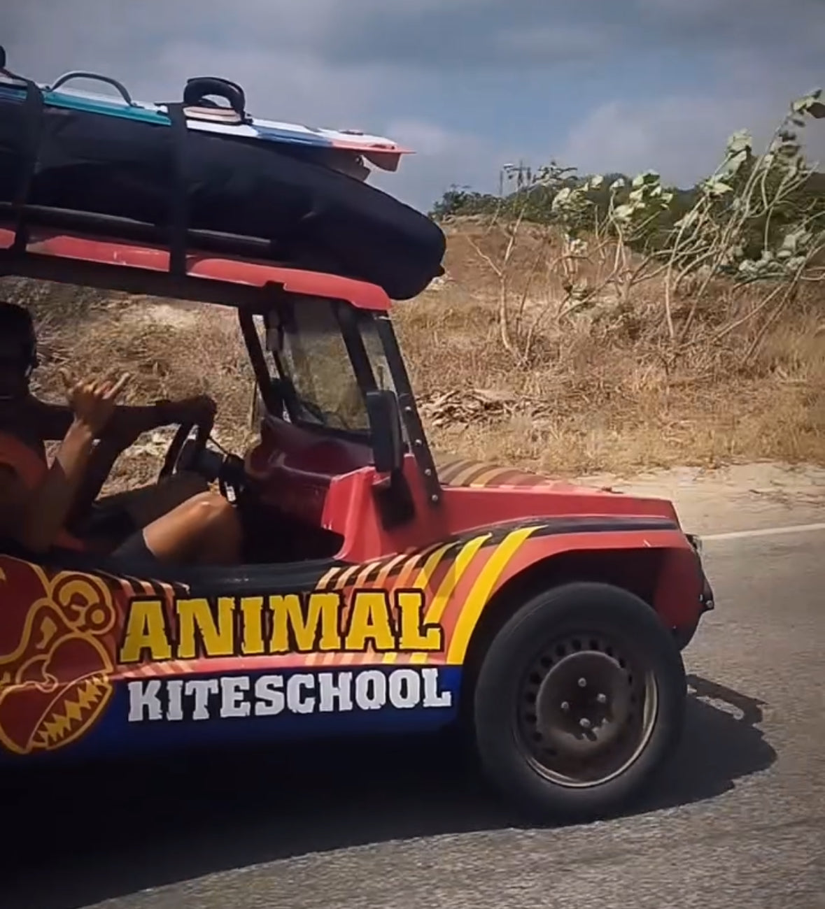 Animal Kitecenter