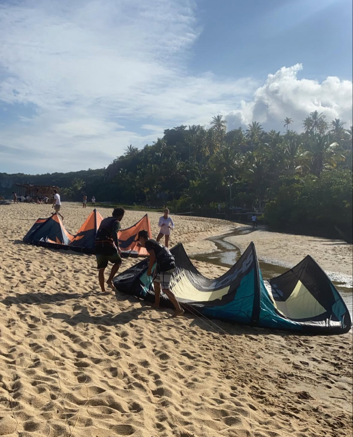 Selva Kite School
